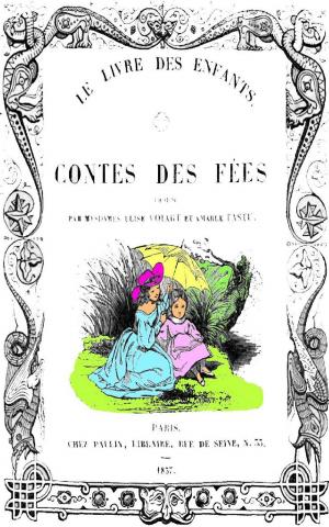 Book cover of Contes des fées