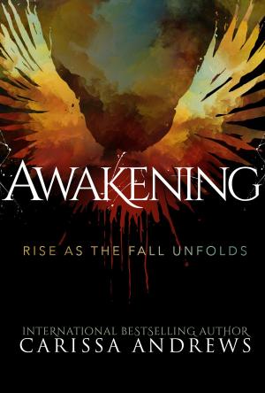 Cover of the book Awakening by Rosemary McCracken