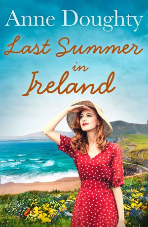Cover of the book Last Summer in Ireland by Amy Bird