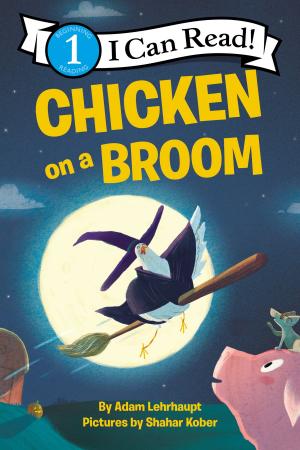 Cover of the book Chicken on a Broom by Jeff Brown
