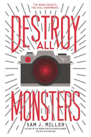 Cover of the book Destroy All Monsters by Carrie Jones, Megan Kelley Hall
