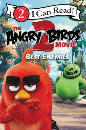 Cover of the book The Angry Birds Movie 2: Best Enemies by Aunt Kaytee
