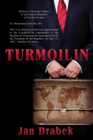 Cover of the book Turmoilin by Tricia McGill
