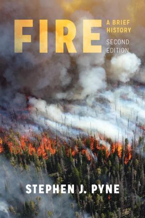 Cover of the book Fire by Karline McLain