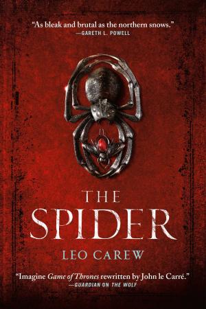 Cover of the book The Spider by Tom Holt