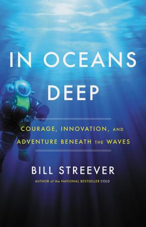 Cover of the book In Oceans Deep by Avrum Bluming, , Carol Tavris, 