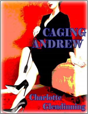 Cover of the book Caging Andrew by Peter Winstanley