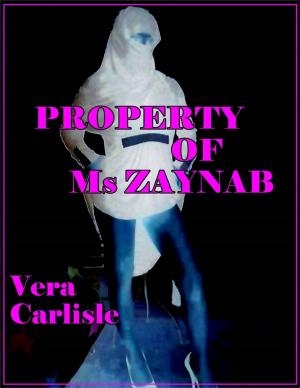 Cover of the book Property of Ms Zaynab by Cathy Penman