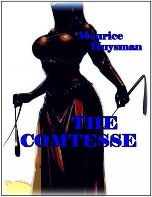 Cover of the book The Comtesse by Gerrard Wilson