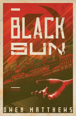 Cover of the book Black Sun by E.J. Fechenda