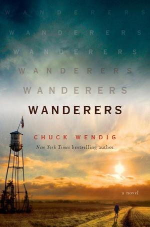 Book cover of Wanderers