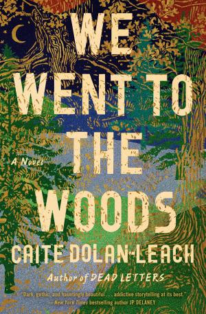 Cover of the book We Went to the Woods by Lauren Layne