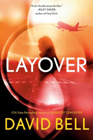 Cover of the book Layover by Camille Lemonnier