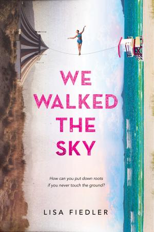 Cover of the book We Walked the Sky by Nancy Krulik