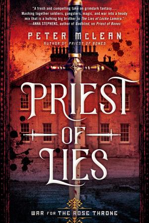 Cover of the book Priest of Lies by Sofie Kelly