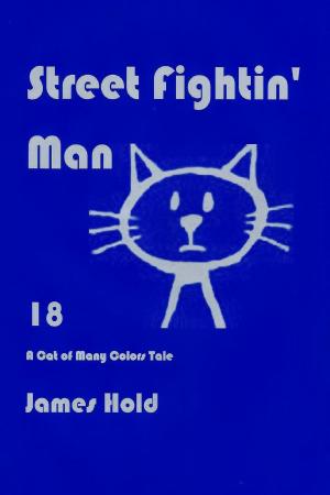 Cover of the book Street Fightin' Man by James Hold