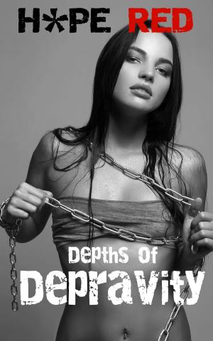 Cover of the book Depths of Depravity by Laura Jean Lysander