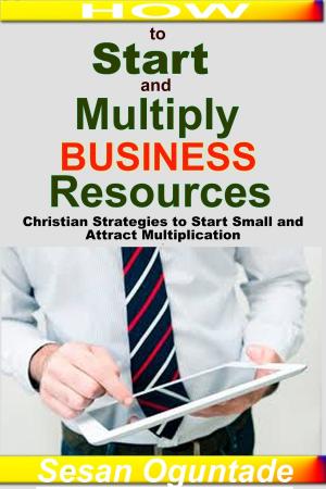 Cover of the book How to Start and Multiply Businesses Resources: Christian Strategies to Start Small and Attract Multiplication by Sesan Oguntade