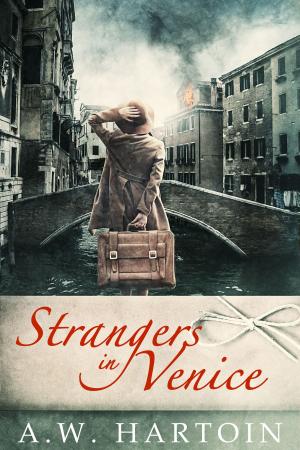 Cover of the book Strangers in Venice by K.B. Owen