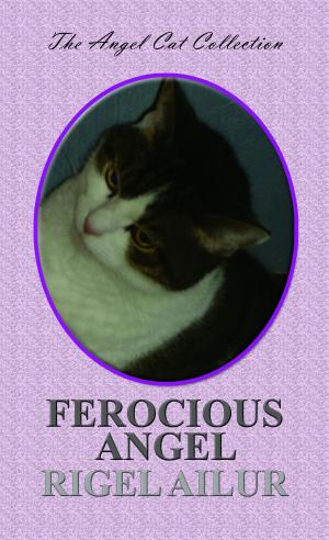 Cover of the book Ferocious Angel by Devin McCamey