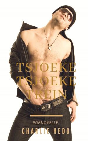 Cover of the book Tsjoeke Tsjoeke Trein by Nicole Zahara