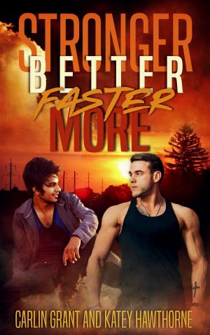 Cover of the book Stronger, Better, Faster, More by Louise Ackermann