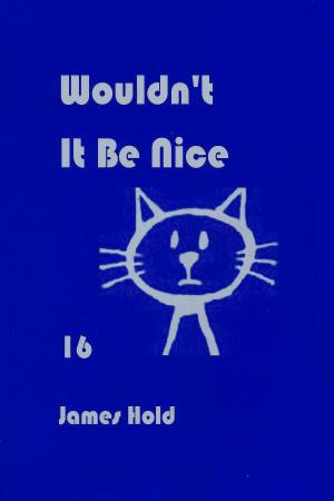 Cover of the book Wouldn't It Be Nice by James Hold
