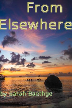 Cover of the book From Elsewhere by J.  K. Haugen