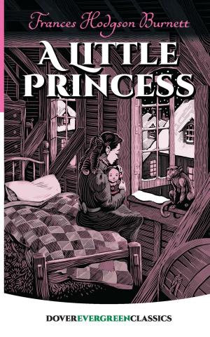 Cover of the book A Little Princess by Christos H. Papadimitriou, Kenneth Steiglitz