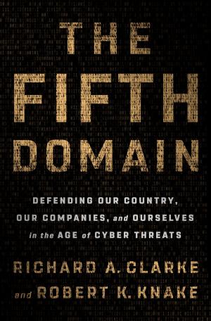 Cover of the book The Fifth Domain by Daniel DiPiazza