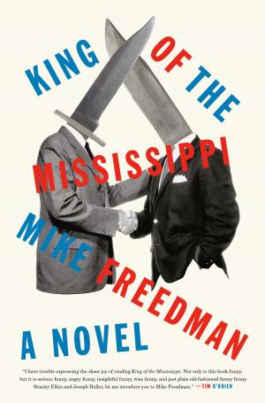 Cover of the book King of the Mississippi by Fabrice AGUILLON