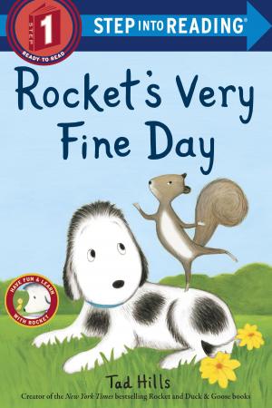 Cover of the book Rocket's Very Fine Day by Siobhan Dowd