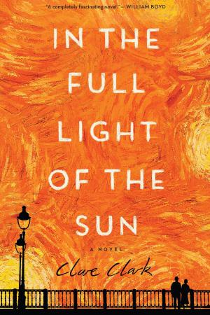 Cover of the book In the Full Light of the Sun by Mary Downing Hahn
