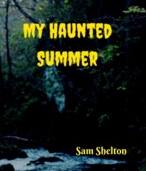 Cover of the book My Haunted Summer by Mac Park