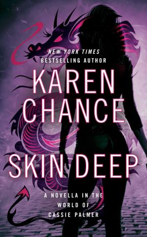 Cover of the book Skin Deep by Jean Kwok