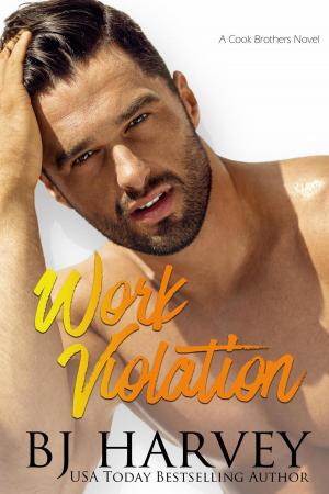 Cover of the book Work Violation by Louise Ackermann