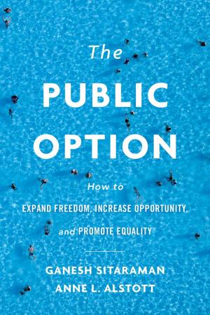 Cover of the book The Public Option by Robert C. Post