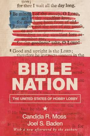 Cover of the book Bible Nation by Søren Kierkegaard, Todd W. Nichol