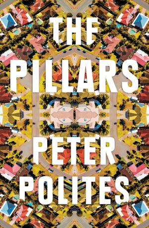Cover of the book The Pillars by Inga Simpson