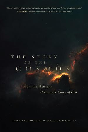 Cover of the book The Story of the Cosmos by Annie Chapman