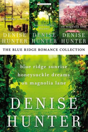 Book cover of The Blue Ridge Romance Collection