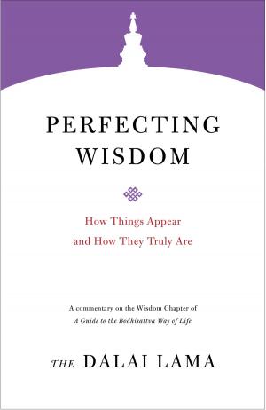Cover of the book Perfecting Wisdom by Anna Held Audette