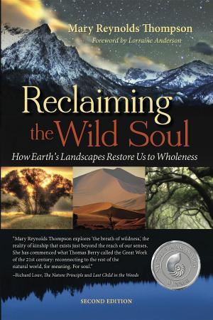 Book cover of Reclaiming the Wild Soul