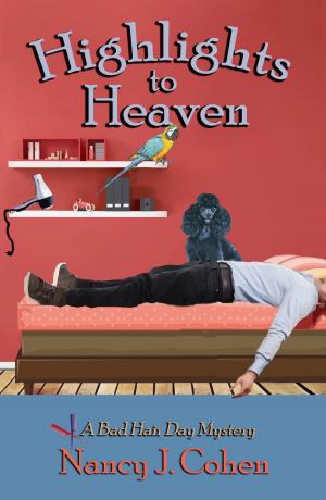 Cover of the book Highlights to Heaven by Harry I. Heller