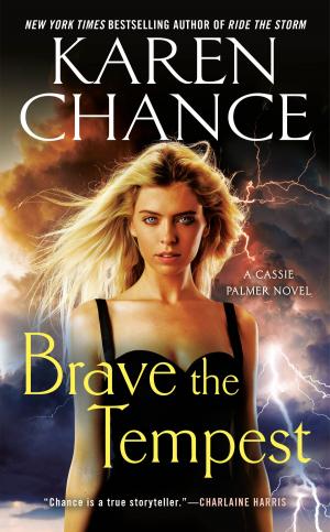 Cover of the book Brave the Tempest by Christina Lee