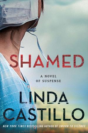 Cover of the book Shamed by Tim McGregor