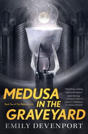 Cover of the book Medusa in the Graveyard by Win Blevins