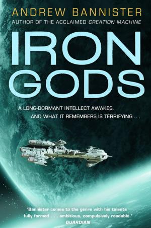 Book cover of Iron Gods