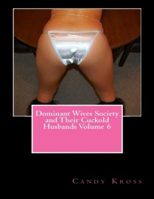 Cover of the book Dominant Wives Society and Their Cuckold Husbands Volume 6 by Daniel Zimmermann