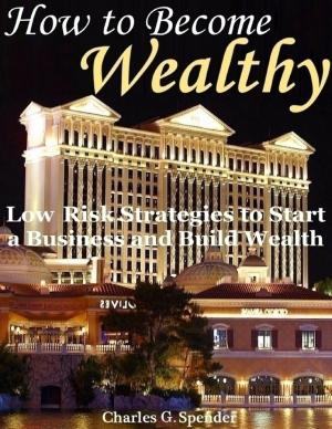 Cover of the book How to Become Wealthy: Low Risk Strategies to Start a Business and Build Wealth by Karolis Sciaponis